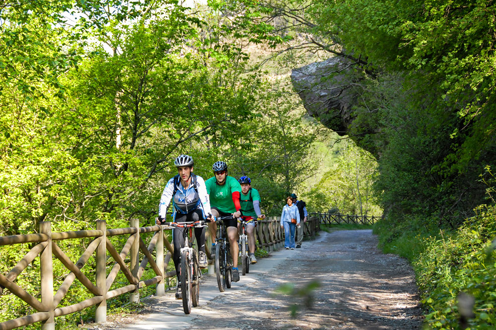 Biotopo De Leitzar N Un Salvaje Entorno Natural Tolosaldea Turismo