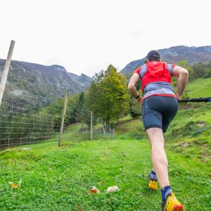 trail aralar
